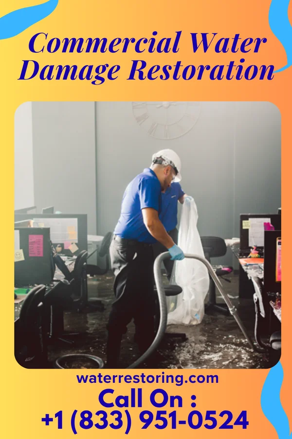 Commercial Water Damage Restoration in San Perlita, TX