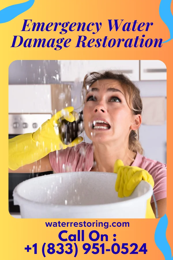 Emergency Water Damage Restoration in San Perlita, TX