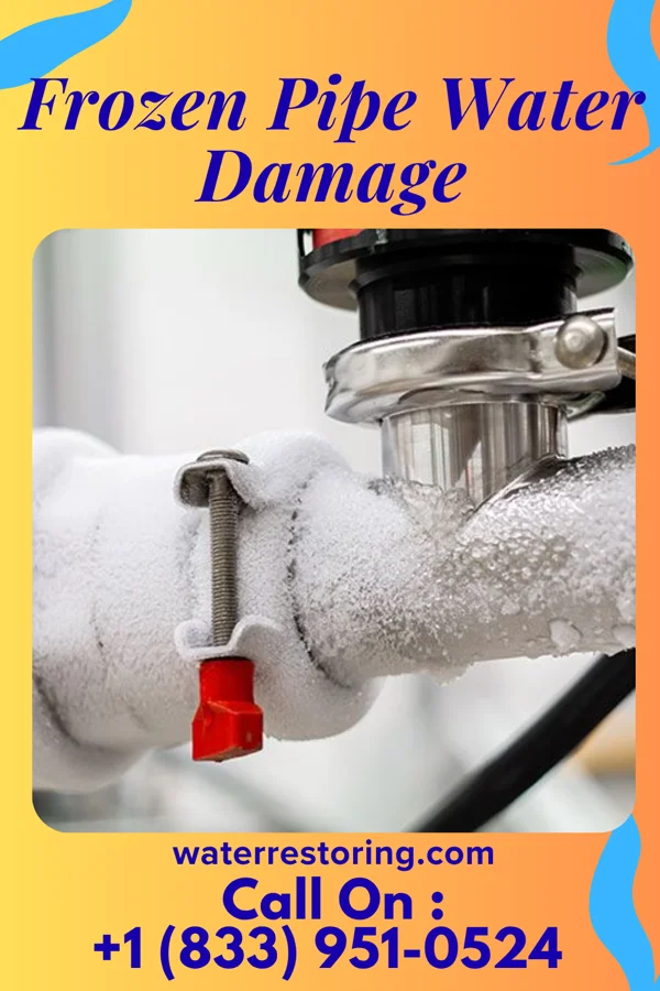 Frozen Pipe Water Damage in San Perlita, TX